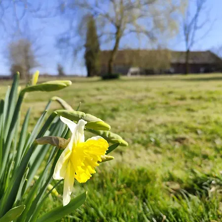 Beau Soleil Σπίτι διακοπών