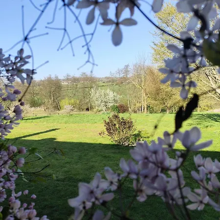 Beau Soleil * Mesnieres-en-Bray