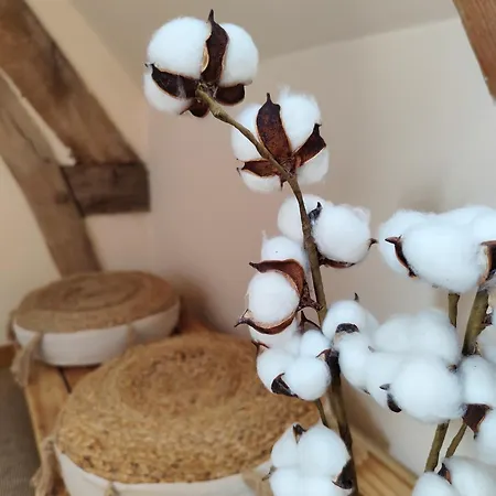 Beau Soleil Σπίτι διακοπών Mesnieres-en-Bray