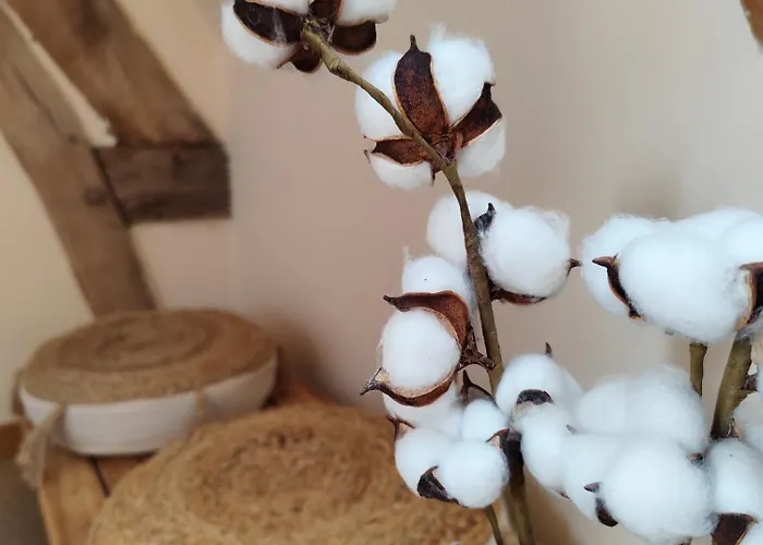 Beau Soleil Casa de Férias Mesnieres-en-Bray